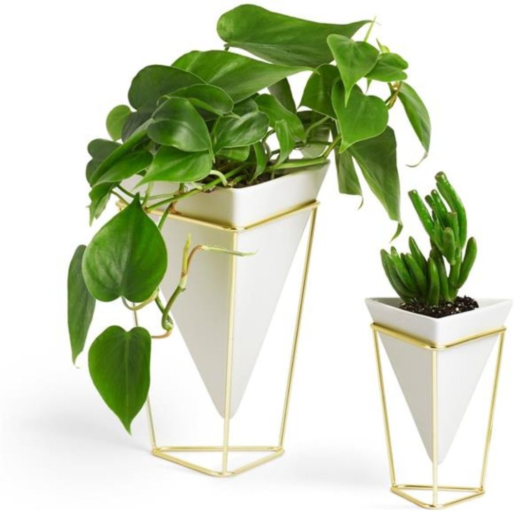 Desktop Planter Vase & Geometric Container-for Succulent, Air, Mini Cactus